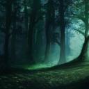 🍃 ҂ Mars Treehouse