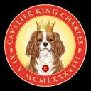 Cavalier King Charles - Charly
