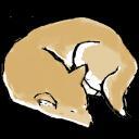 舒捷的遊戲實況