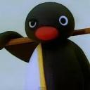 Pingu Land