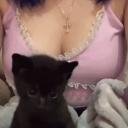 Boobeez n Cats
