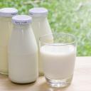 Areolas are Love and Life <3